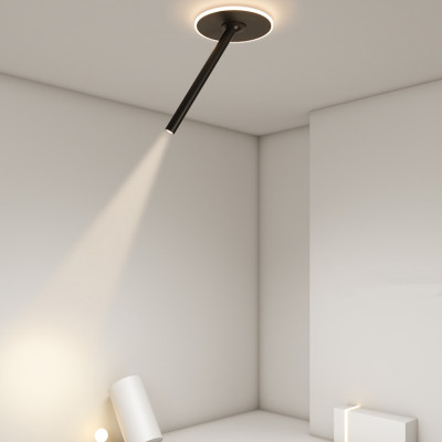 Потолочный светильник FIND Black