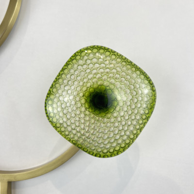 Настенный светильник SHIELD C