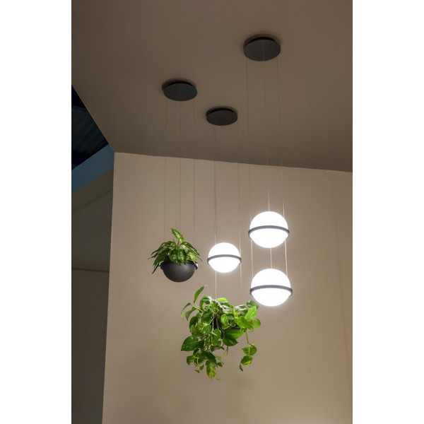 Подвесной светильник PALMA Wall lamp шар + вазон от ImperiumLoft