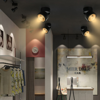 Потолочный светильник AGENDA black+gold 10W