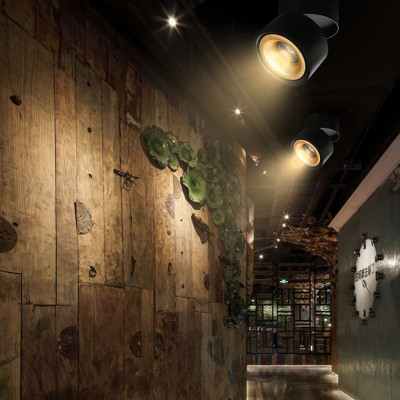 Потолочный светильник AGENDA White+Gold 10W