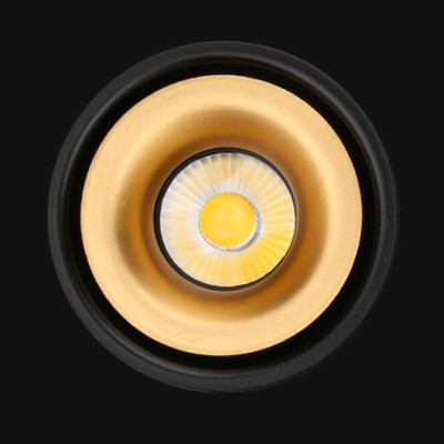 Потолочный светильник AGENDA black+gold 10W