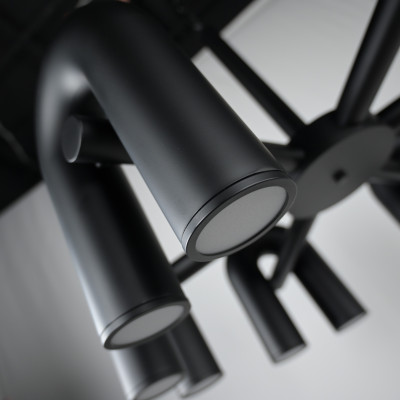 Подвесная люстра FANNY 12 Black