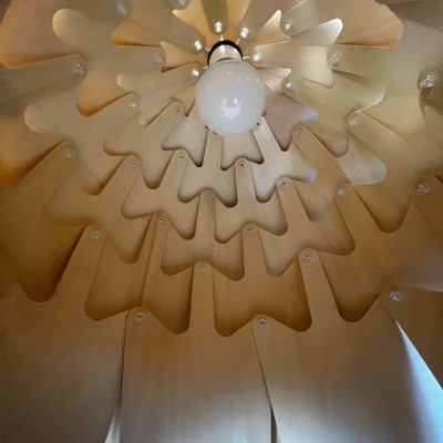 Подвесной светильник Crimea Pine Cone natural wood D50