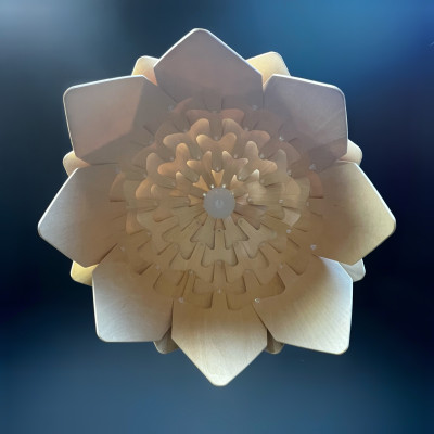 Подвесной светильник Crimea Pine Cone natural wood D50