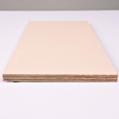 Стеновая панель ECOPAN ECO015 Пудровый Беж — 3050*1220*9 мм