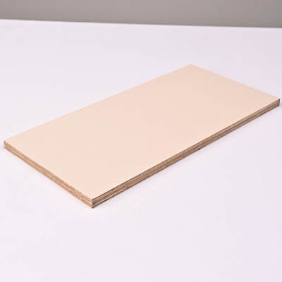 Стеновая панель ECOPAN ECO015 Пудровый Беж — 3050*1220*9 мм