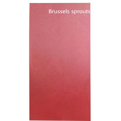 Мягкая стеновая панель KBOOS Brussels Sprouts 1200*2400*2.7мм 5491-88