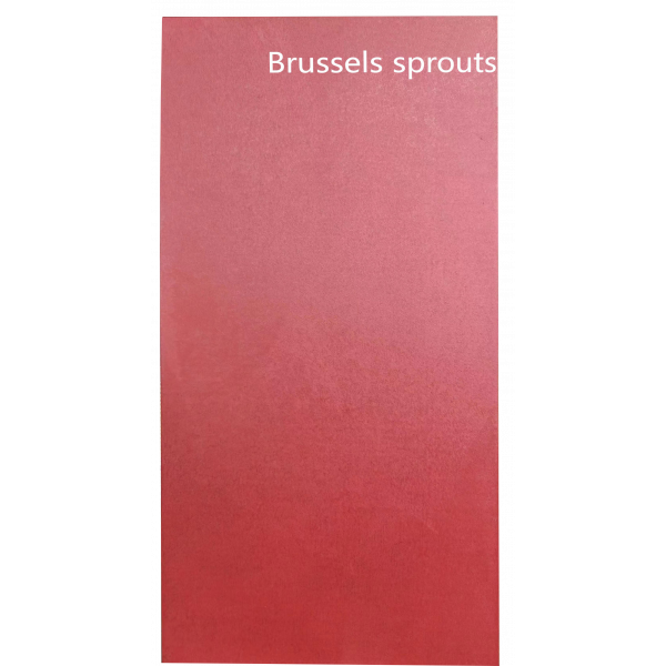 Твёрдая стеновая панель KBOOS Brussels Sprouts 1220*2440*3мм 5489-88
