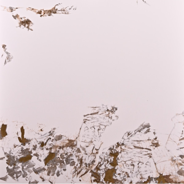 Стеновая панель CROWN CR13534-88 Мрамор Катакатта Голд - 2800*1220*5 мм