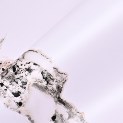 Стеновая панель PREMIUM SW4001 Мрамор Аксу Уайт - 2800*1220*5 мм