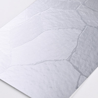 Стеновая панель PREMIUM WR-SSP06 Фактурный светлый алюминий - 2800*1220*5 мм