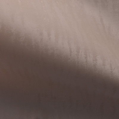 Стеновая панель PREMIUM MW310 Дуб пепельный - 2800*1220*5 мм